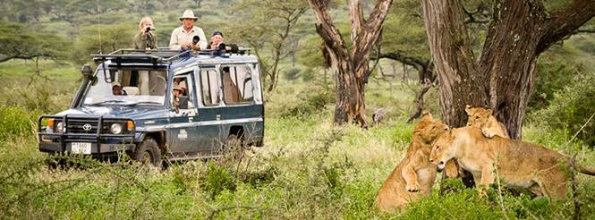 https://d3r8gwkgo0io6y.cloudfront.net/upload/encounter wild life.jpg
